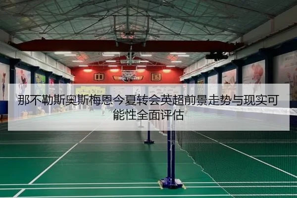 那不勒斯奥斯梅恩今夏转会英超前景走势与现实可能性全面评估